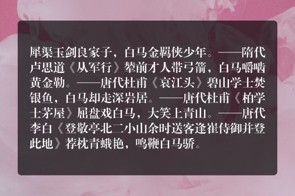 白马帅哥的诗