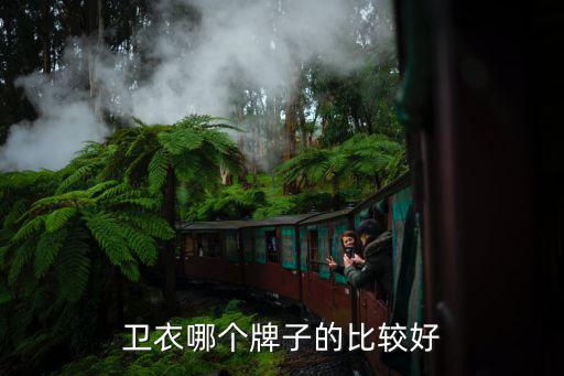 优质时尚卫衣品牌推荐