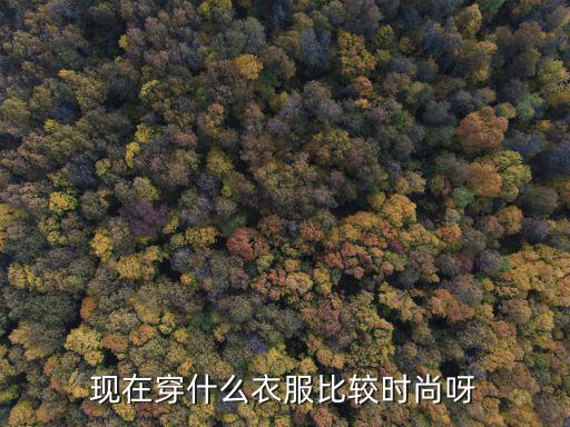 时尚人士的着装选择，当下哪些衣服比较时尚？