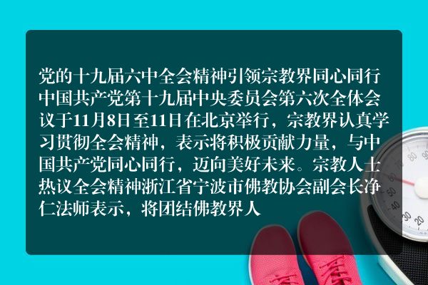 携手共进 筑梦美好明天
