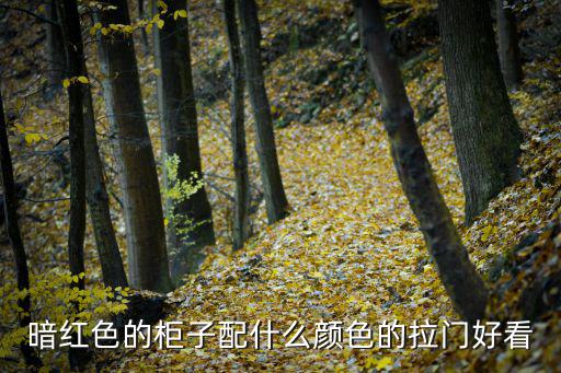 房间柜子的门怎样才时尚，暗红色柜子的拉门配啥颜色好看