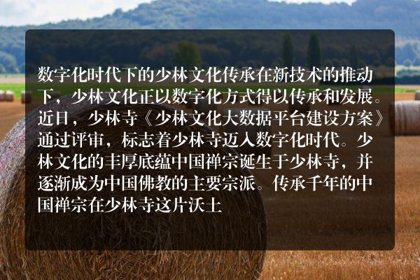 少林寺即将迈入全面数字化时代