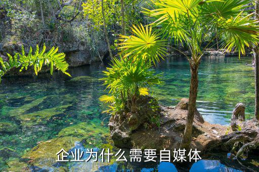 为何时尚设计师和企业需拥抱自媒体平台