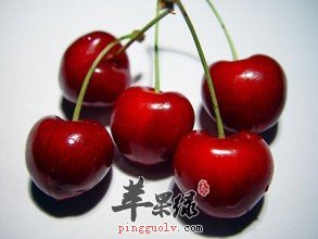 预防考试紧张的饮食选择