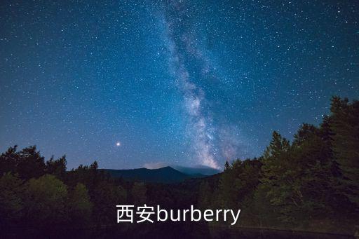 西安burberry所在的国际时尚中心位于什么街道？