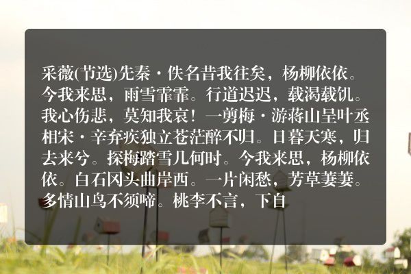 杨柳依依古诗