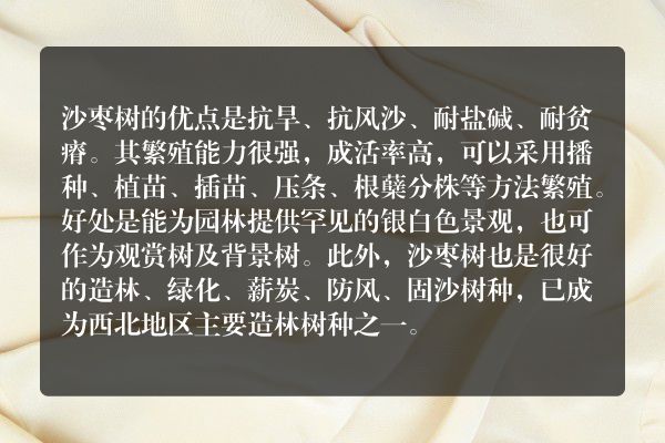 沙枣木优缺点